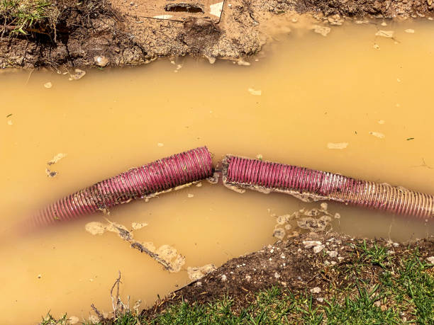 Best Sewage cleanup and water damage restoration  in Kronenwetter, WI