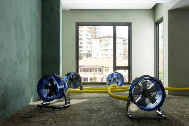 Reliable Kronenwetter, WI Water damage restoration Solutions